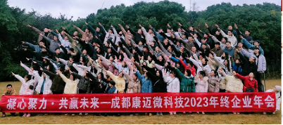 https://www.dianzimai.com/